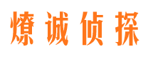 三都市私家侦探